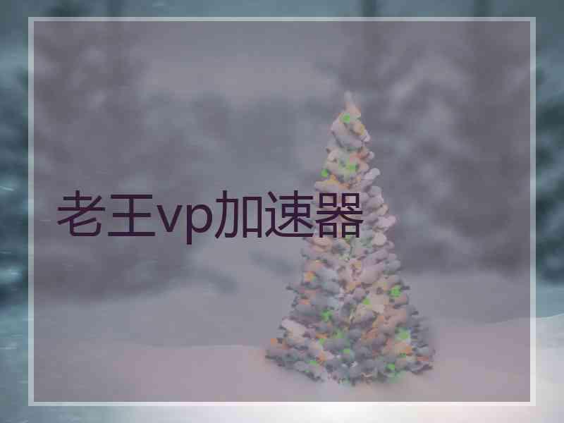 老王vp加速器