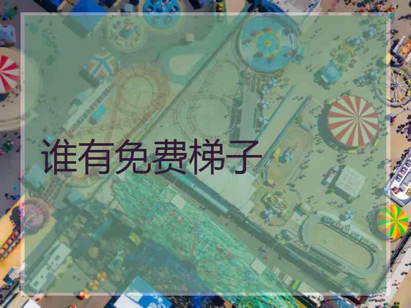谁有免费梯子