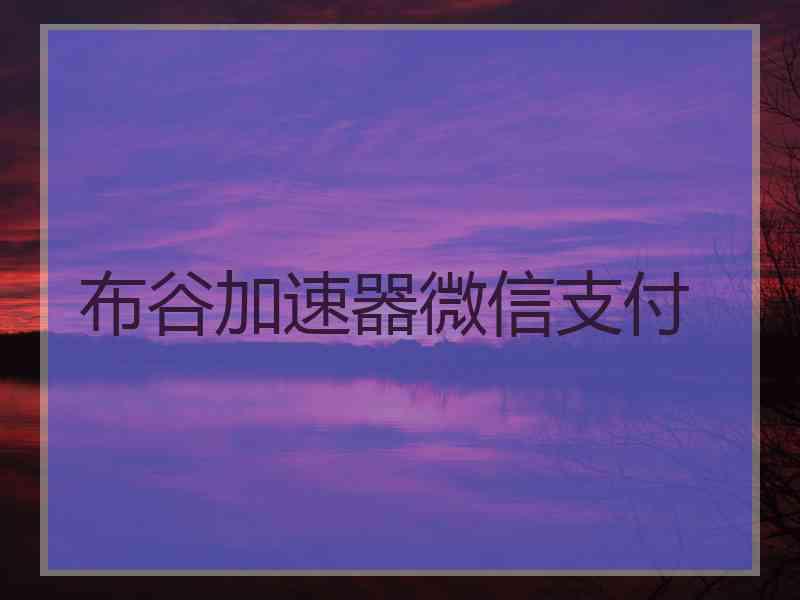 布谷加速器微信支付