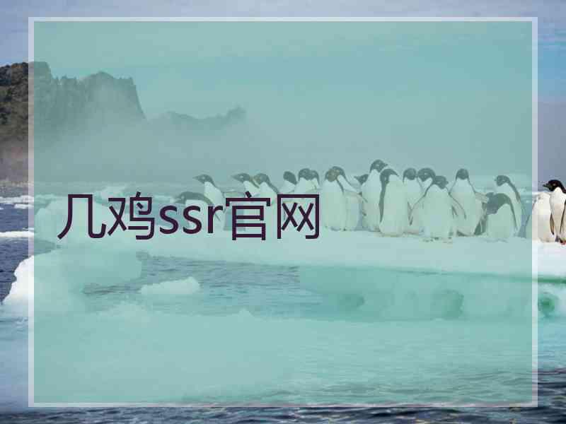 几鸡ssr官网