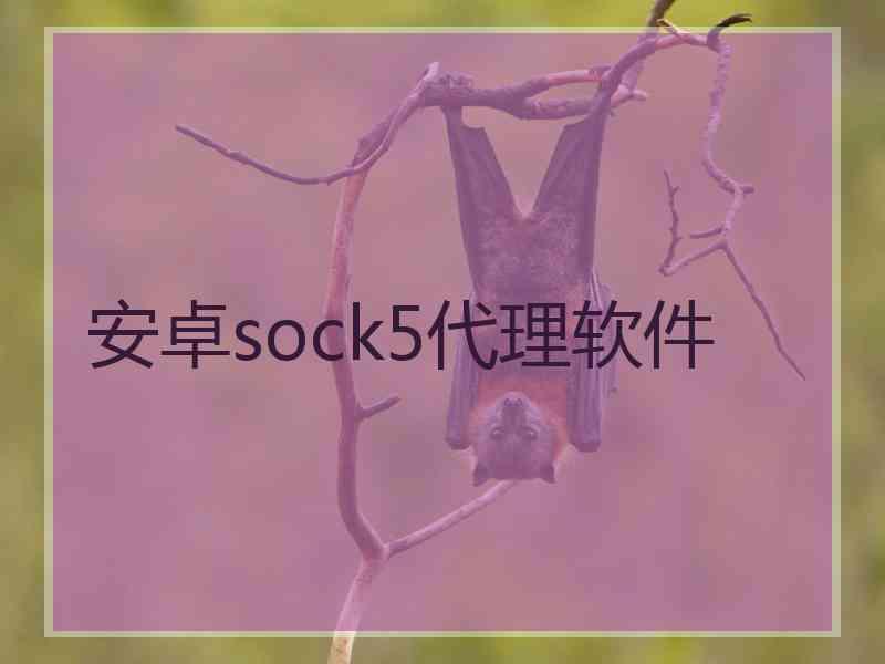 安卓sock5代理软件