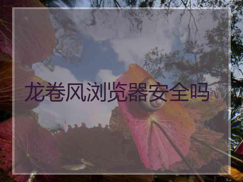 龙卷风浏览器安全吗