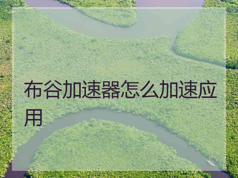 布谷加速器怎么加速应用