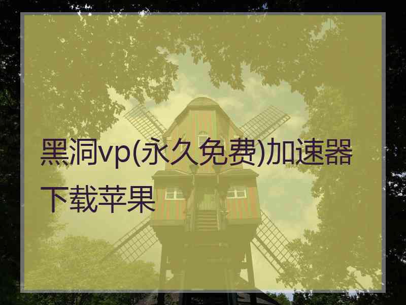 黑洞vp(永久免费)加速器下载苹果
