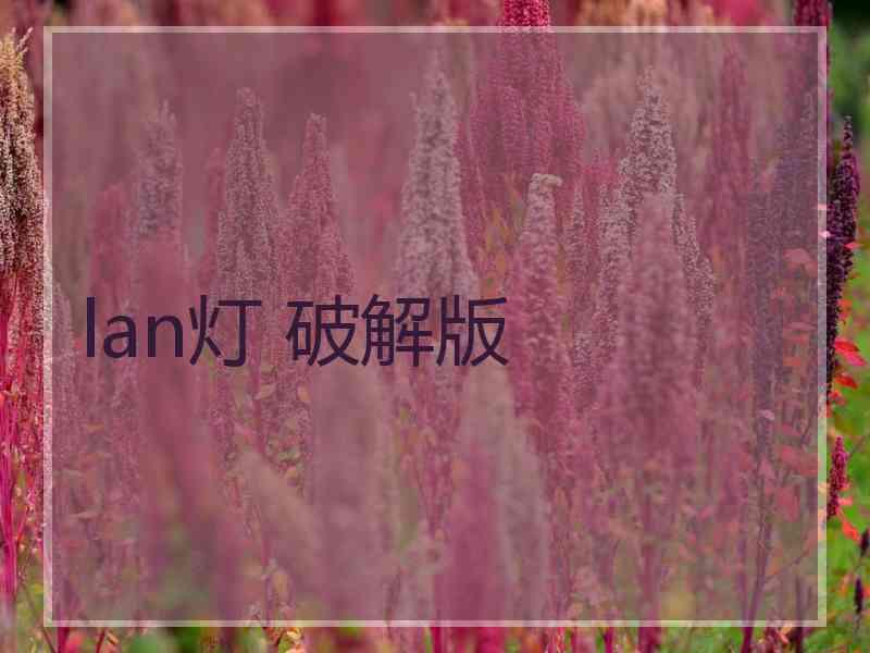 lan灯 破解版