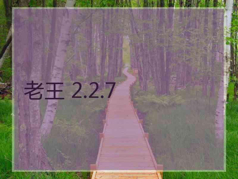 老王 2.2.7