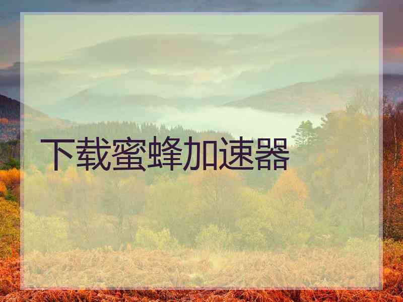 下载蜜蜂加速器