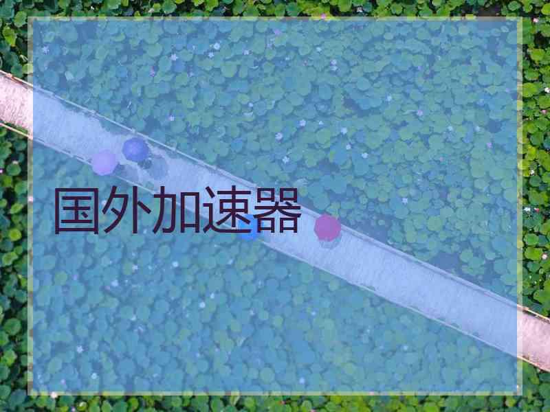 国外加速器