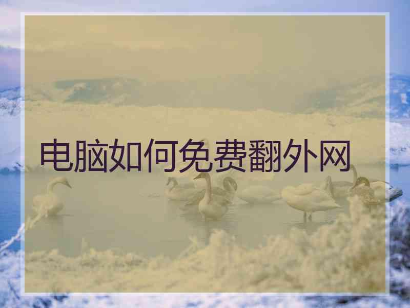 电脑如何免费翻外网