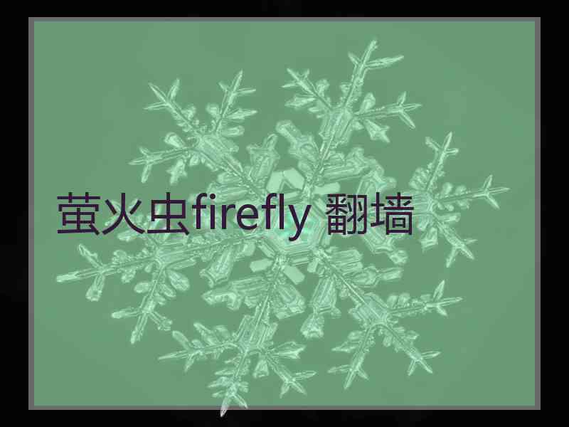 萤火虫firefly 翻墙