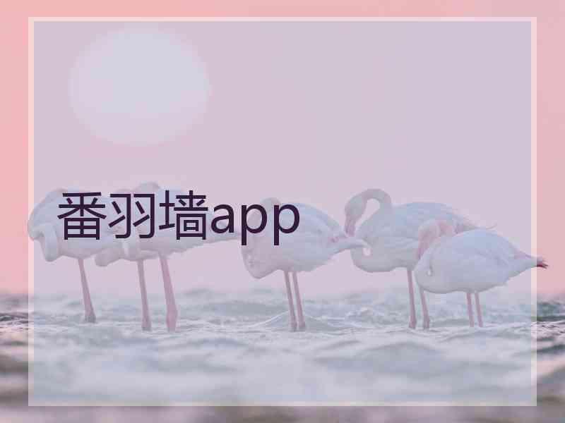 番羽墙app