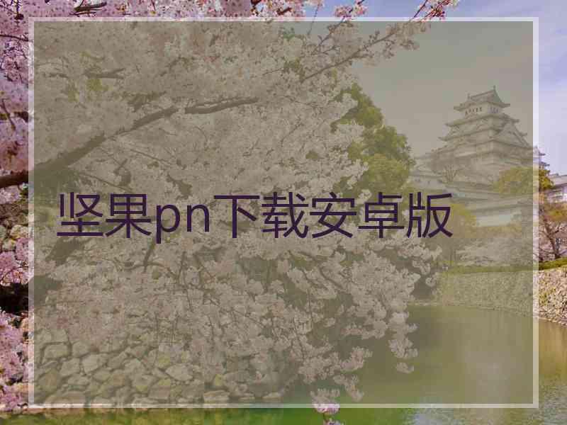 坚果pn下载安卓版
