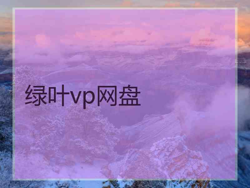 绿叶vp网盘