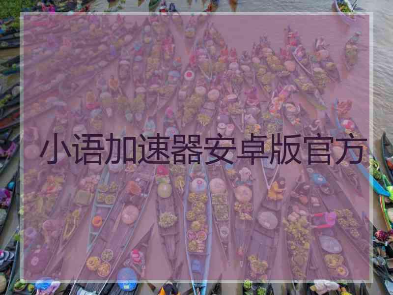 小语加速器安卓版官方