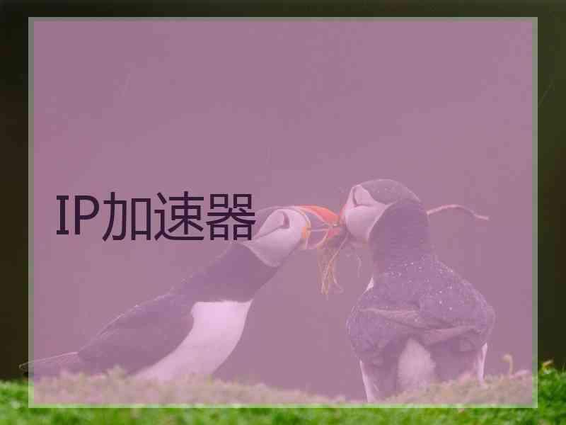 IP加速器