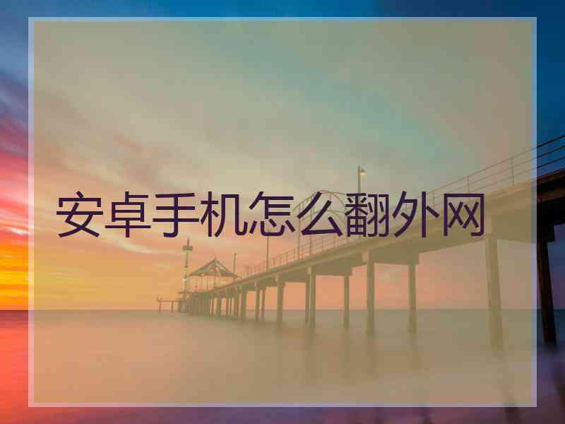 安卓手机怎么翻外网