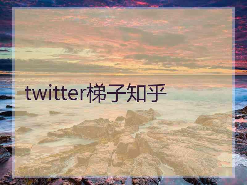 twitter梯子知乎