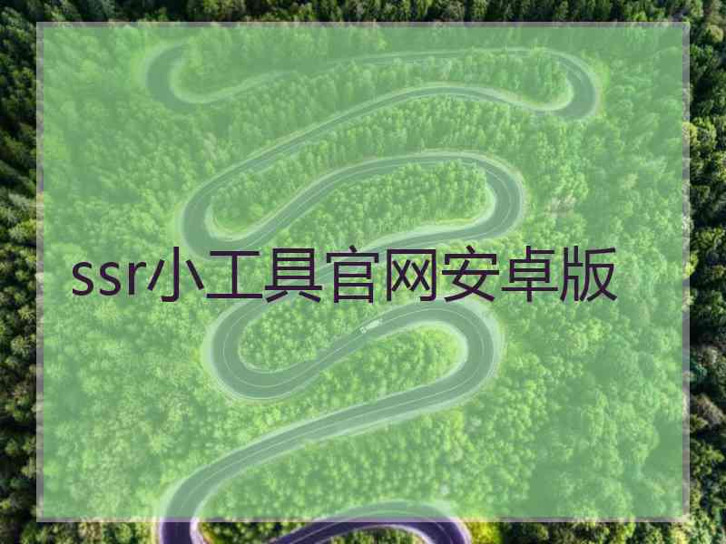 ssr小工具官网安卓版