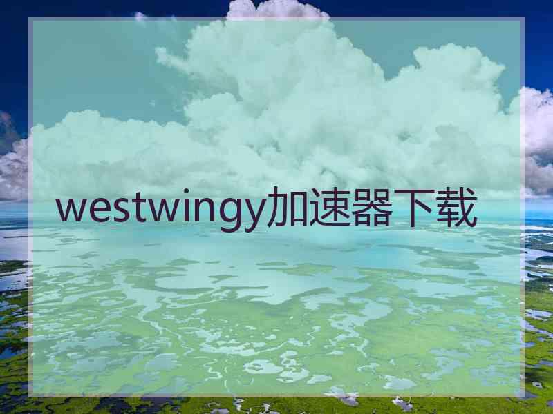 westwingy加速器下载