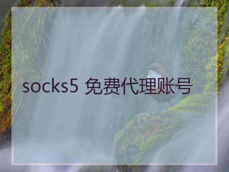 socks5 免费代理账号