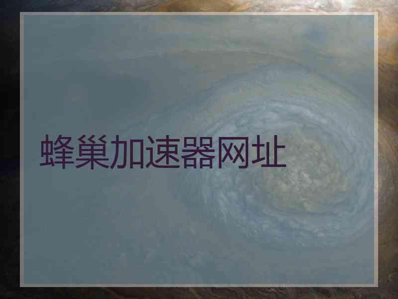 蜂巢加速器网址