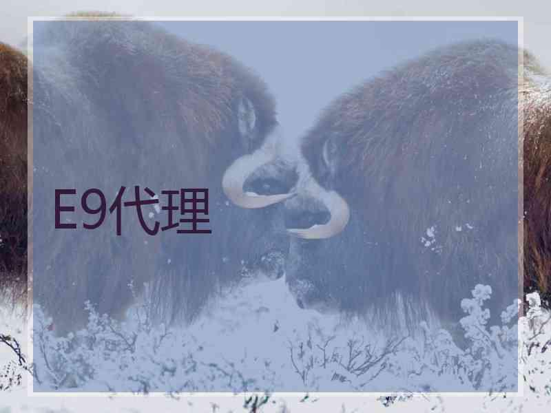 E9代理