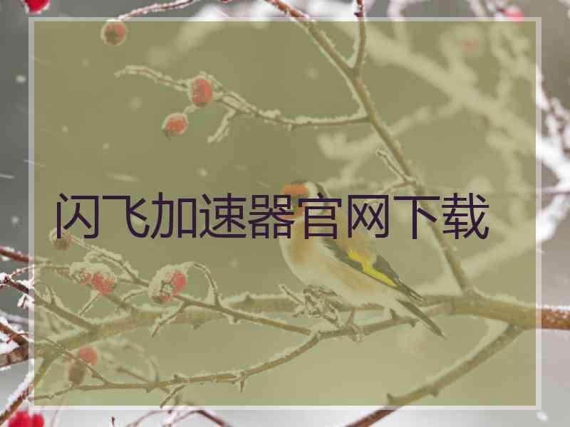 闪飞加速器官网下载