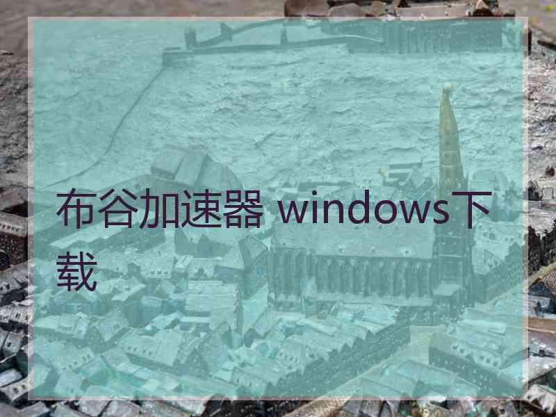 布谷加速器 windows下载