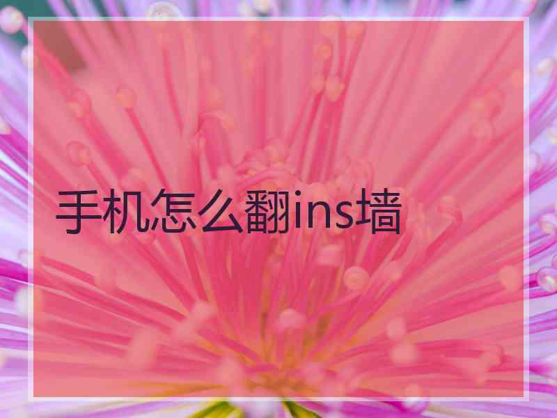 手机怎么翻ins墙