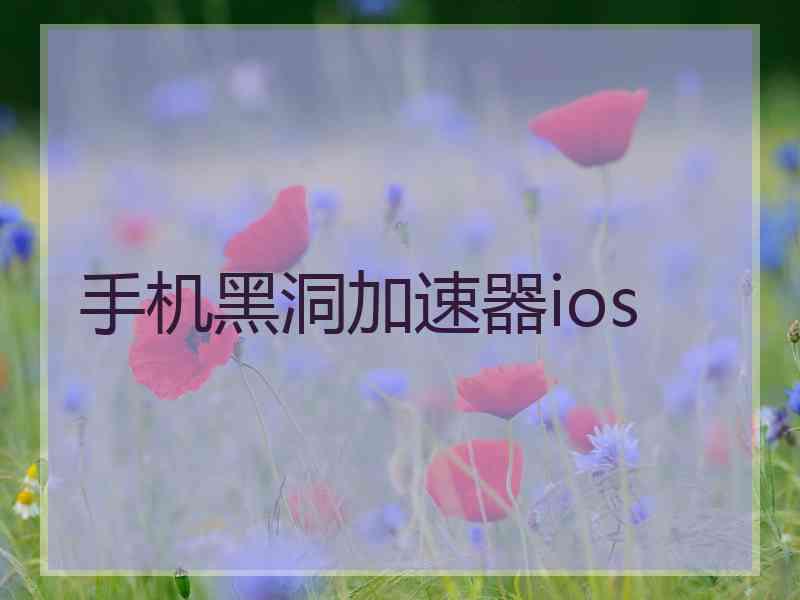 手机黑洞加速器ios