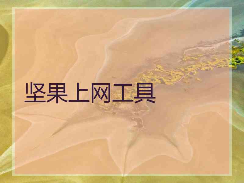 坚果上网工具