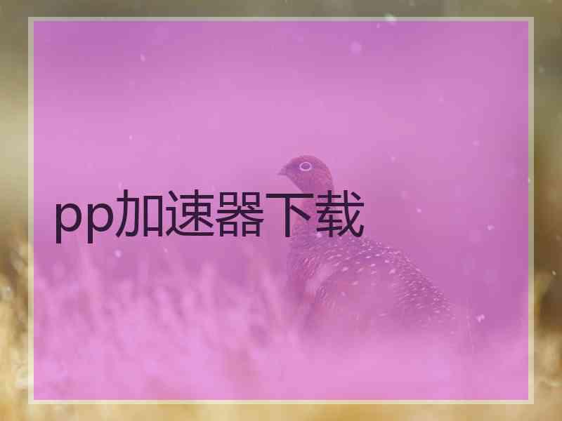 pp加速器下载