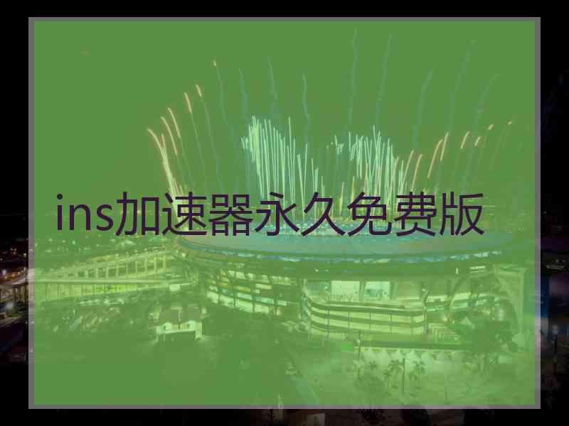 ins加速器永久免费版