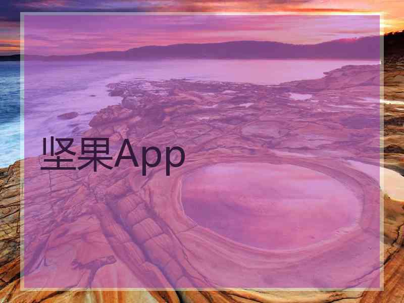 坚果App