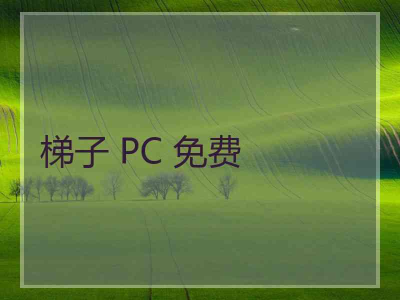梯子 PC 免费