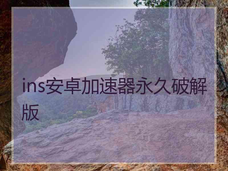 ins安卓加速器永久破解版
