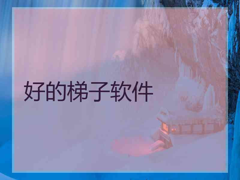 好的梯子软件