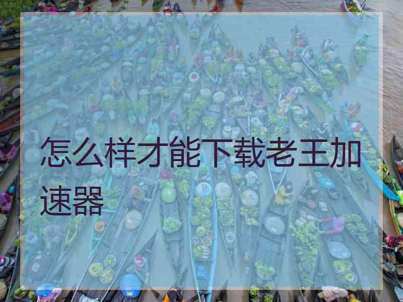 怎么样才能下载老王加速器