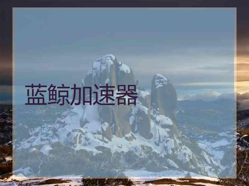 蓝鲸加速器