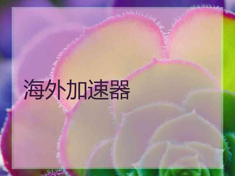 海外加速器