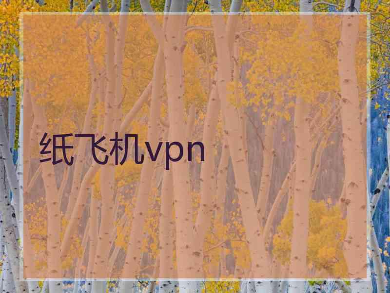 纸飞机vpn