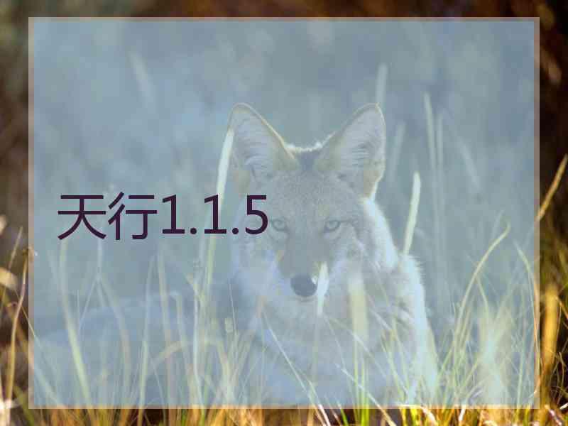 天行1.1.5