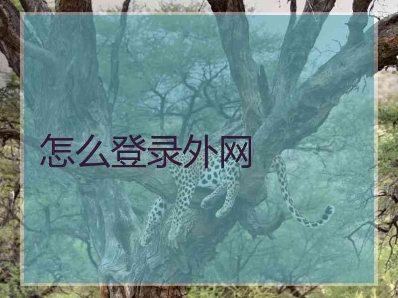 怎么登录外网