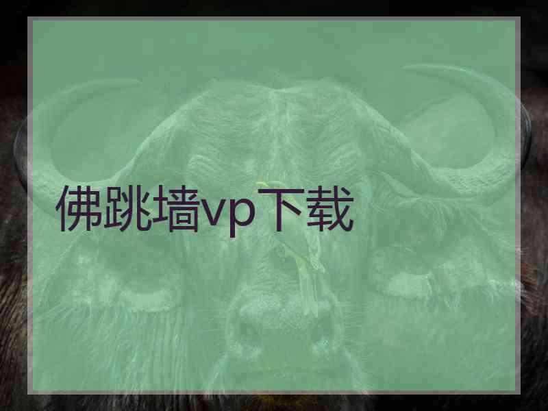 佛跳墙vp下载