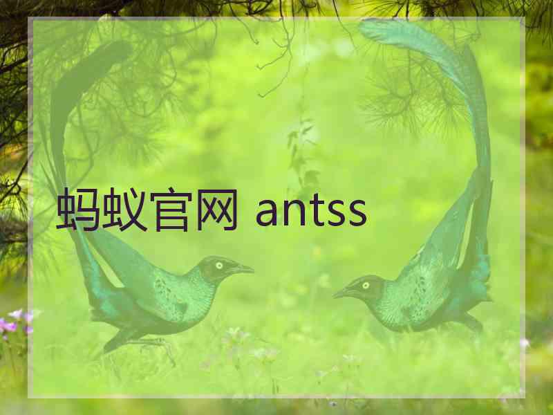 蚂蚁官网 antss
