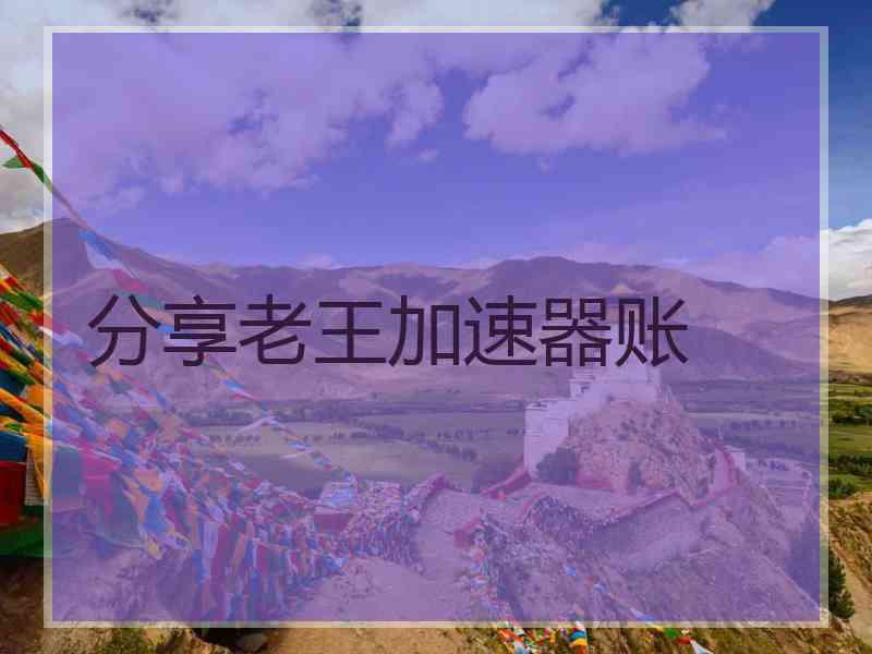 分享老王加速器账