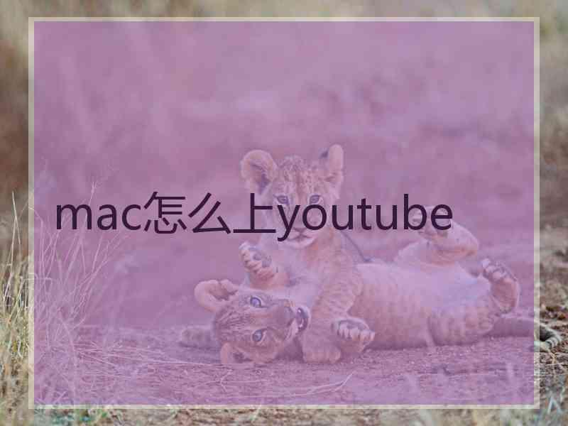 mac怎么上youtube