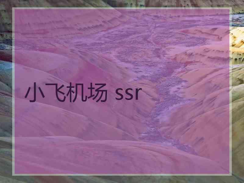 小飞机场 ssr