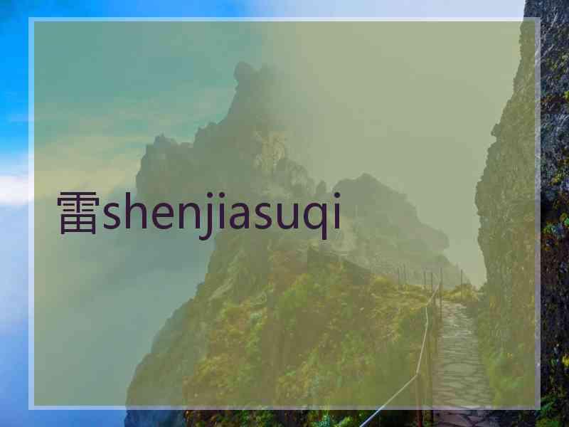 雷shenjiasuqi