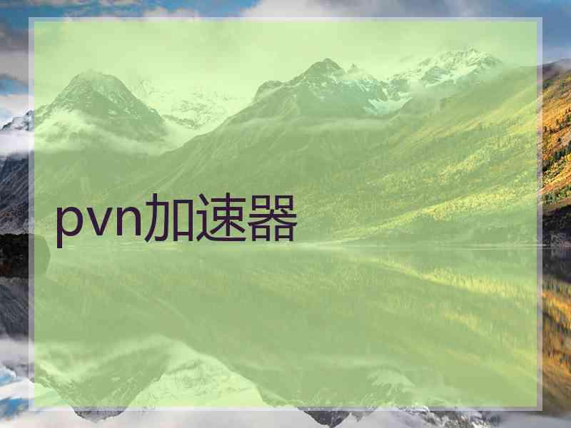 pvn加速器